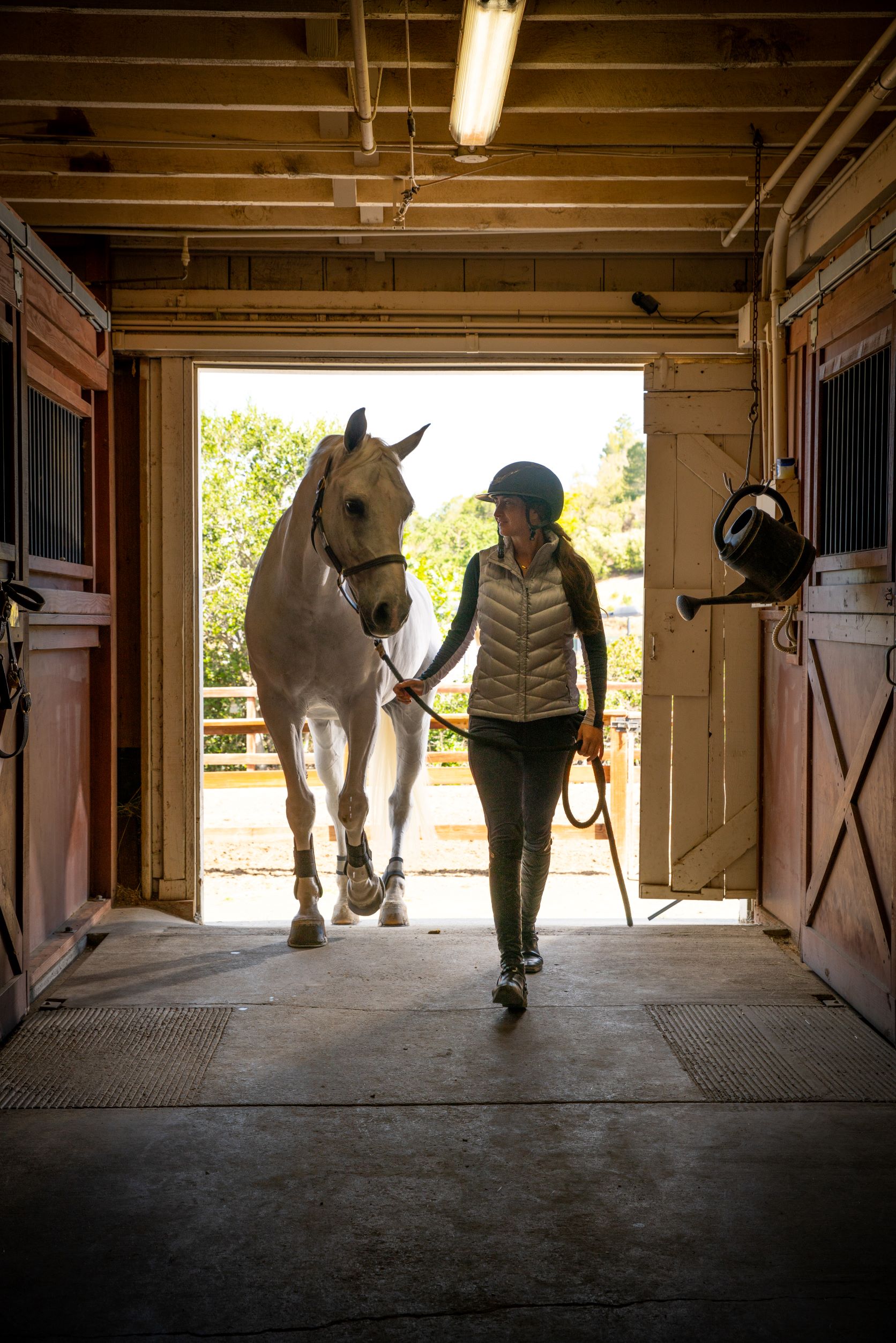 Windy Hill Equestrian